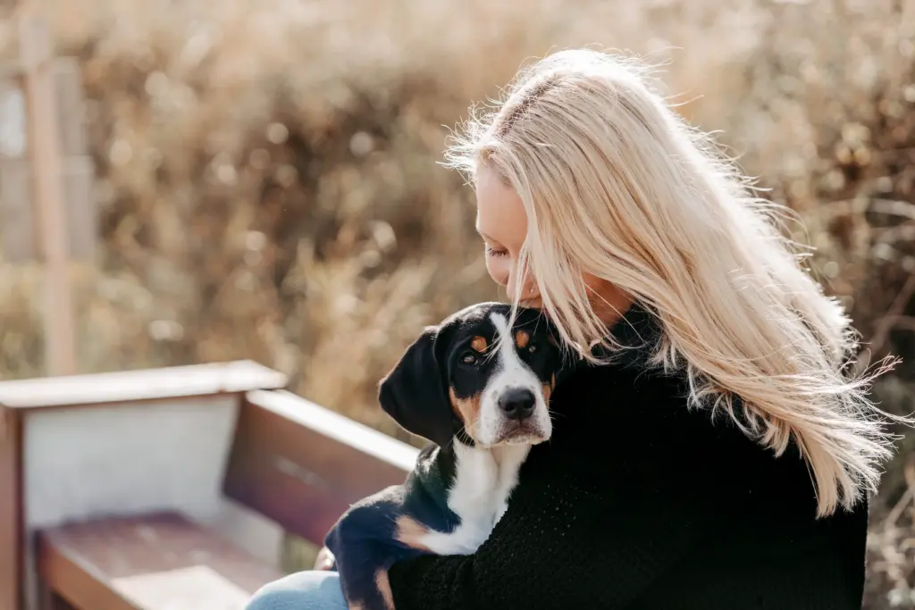 Familie mit Hund im Feld bei Koblenz im warmen Abendlicht.