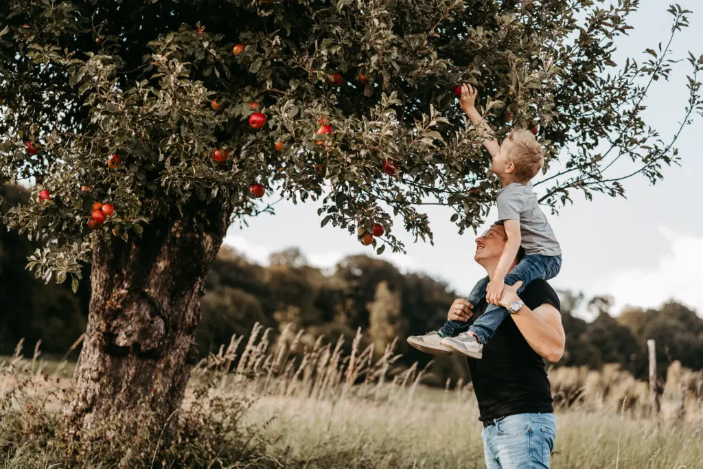 Hund springt fröhlich durch hohes Gras im Feld bei Limburg.